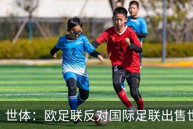 世体：欧足联反对国际足联出售世界杯股份，2030决赛地生变