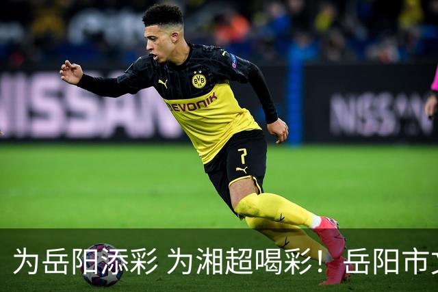 为岳阳添彩 为湘超喝彩！岳阳市文明观赛倡议书来了
