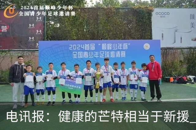 电讯报：健康的芒特相当于新援 但他的身体始终是卡里克心头隐患